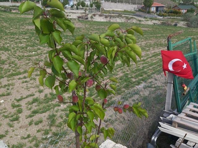 Bala, Ankara içerisinde satılık Arsa