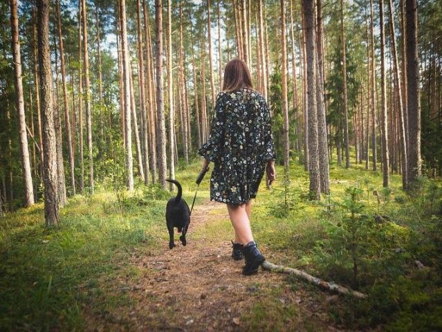 Lägenhet hyra i Ankarsrum, Kalmar