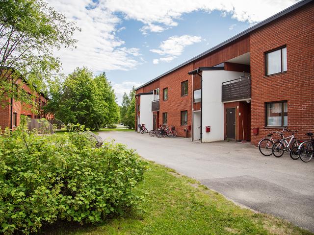Lägenhet hyra i Piteå, Norrbotten
