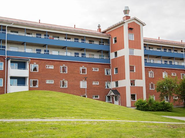 Lägenhet hyra i Piteå, Norrbotten