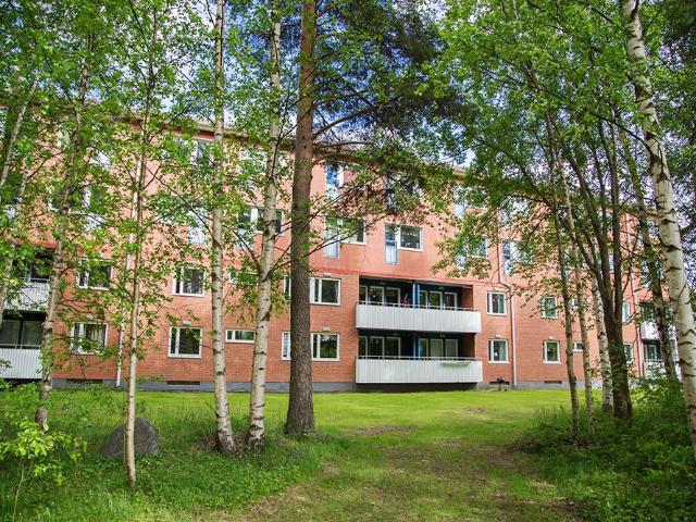 Lägenhet hyra i Piteå, Norrbotten