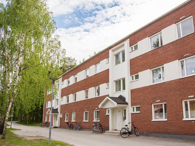 Lägenhet hyra i Piteå, Norrbotten