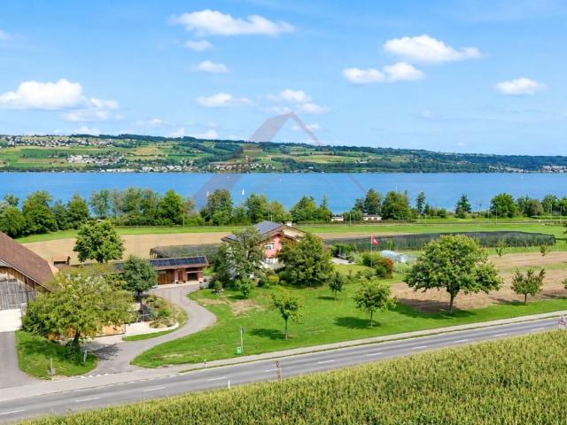 Wohnung kaufen in Nottwil, Lü