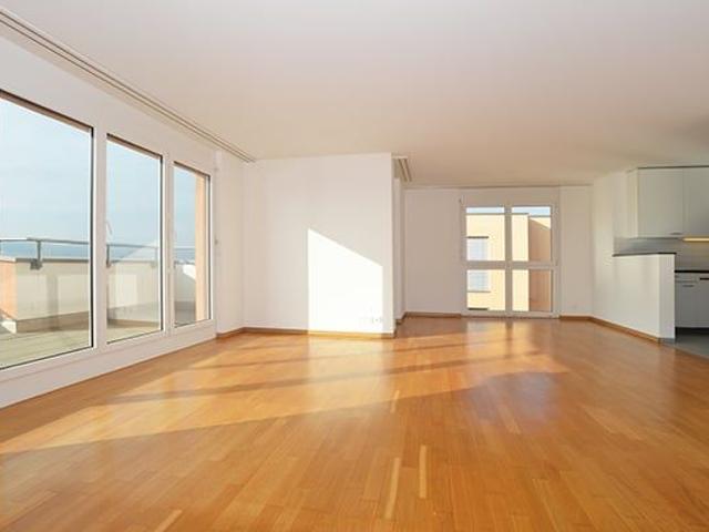 Apartment mieten in Hegnau, Volketswil