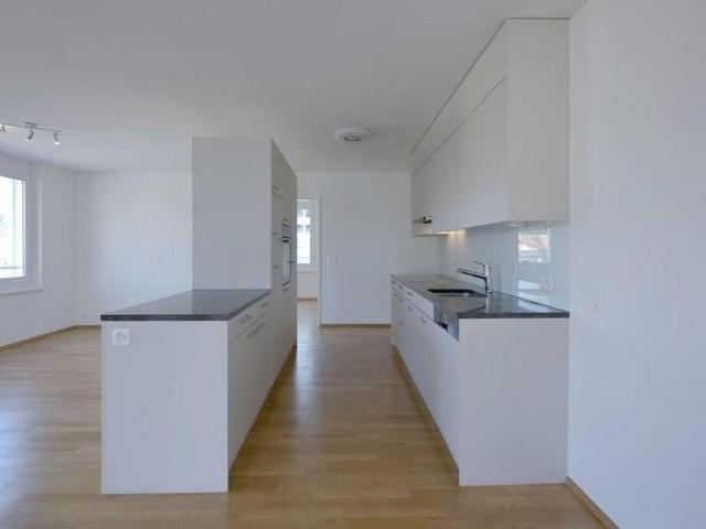 Apartment mieten in Burg AG, Menziken