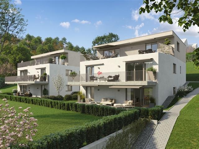 Wohnung kaufen in Erschwil, Solothurn