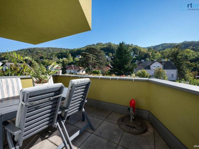 Apartment kaufen in Katastralgemeinde Klosterneuburg, Klosterneuburg