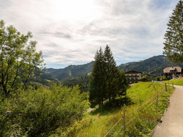 Grundstück kaufen in Ebnit, Dornbirn