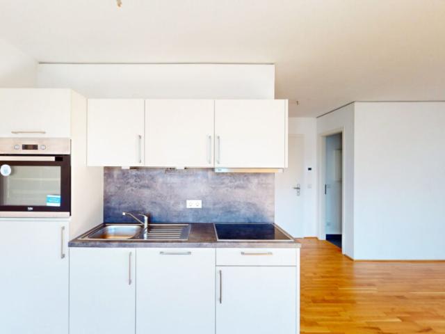 Apartment mieten in Mainz, Rheinland-Pfalz