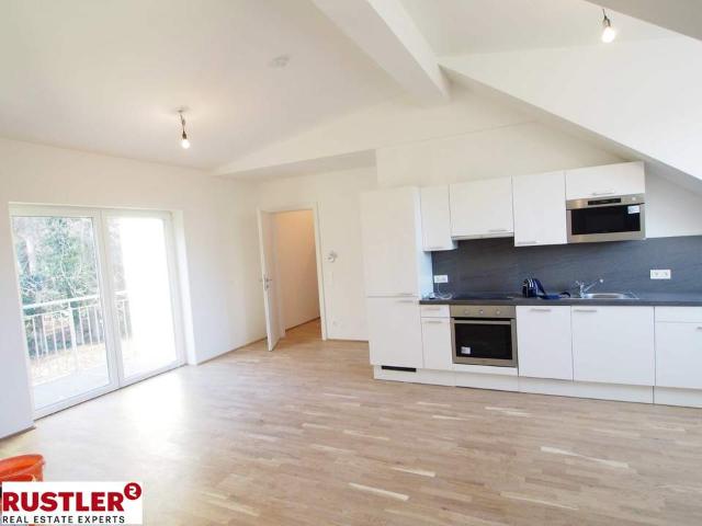 Wohnung mieten in Mödling, Niederösterreich