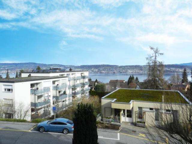 Wohnung kaufen in Wädenswil, Zürich