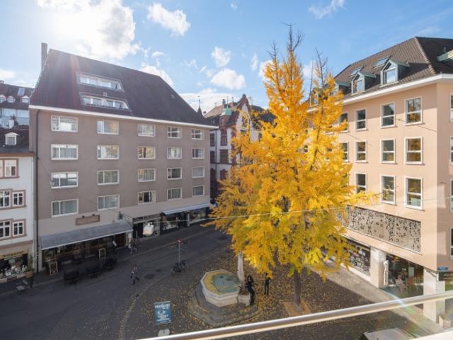Wohnung mieten in Basel, Basel-Stadt