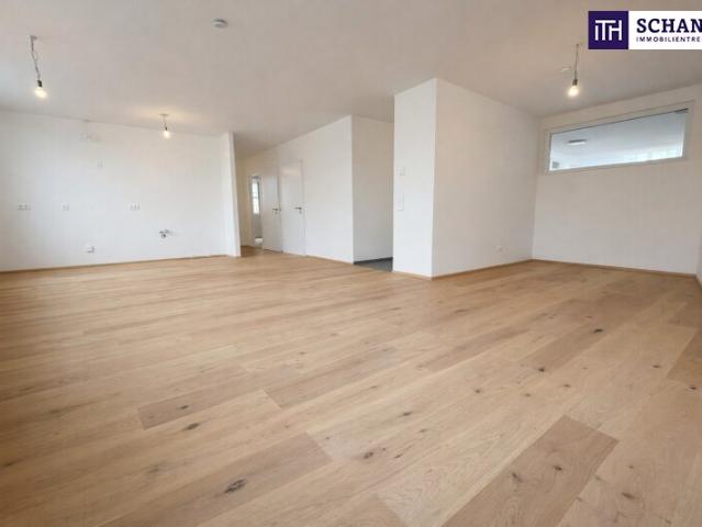 Wohnung kaufen in Traiskirchen, Niederösterreich