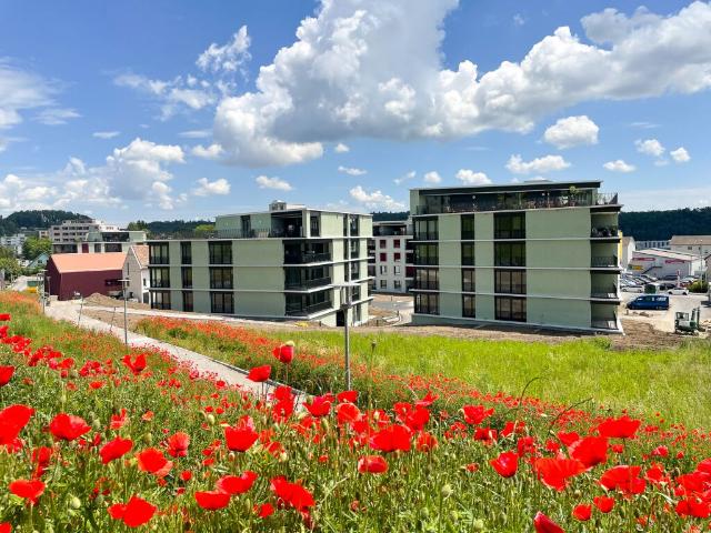 Wohnung kaufen in Schaffhausen