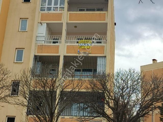 Şanliurfa içerisinde kiralık mülk