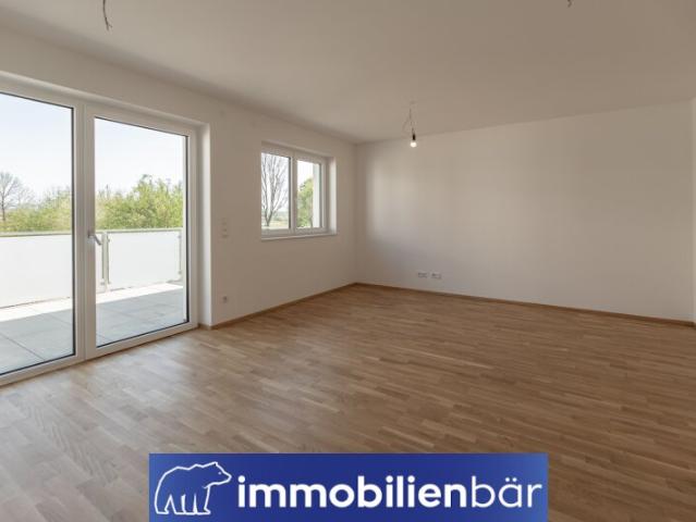 Wohnung kaufen in Pupping, Oberösterreich