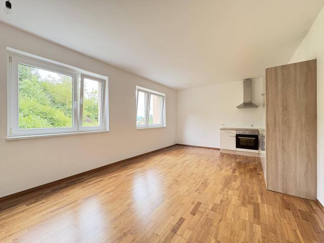 Apartment kaufen in Sierning, Oberösterreich