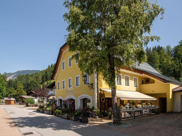 Apartment kaufen in Friedenau, Fieberbrunn