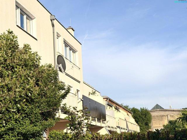 Apartment kaufen in Eggendorf, Niederösterreich