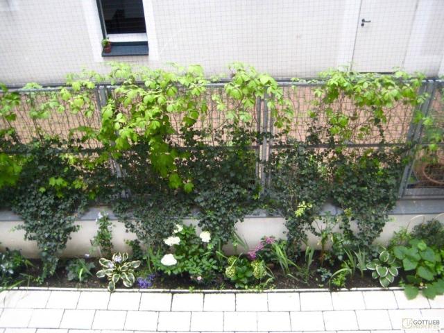 Apartment kaufen in KG Alsergrund, Wien
