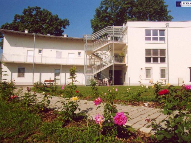 Apartment kaufen in Wagna, Steiermark