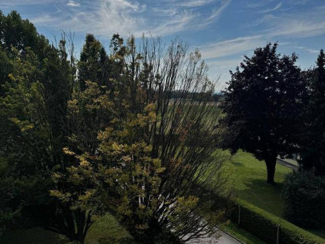 Apartment kaufen in Leonding, Oberösterreich