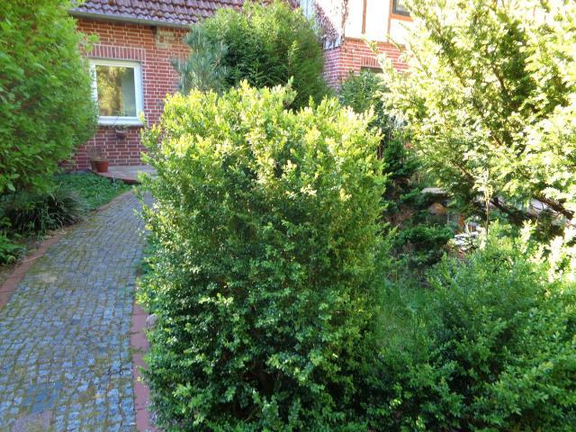 Wohnung mieten in Schneverdingen, Niedersachsen
