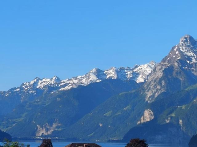 Apartment mieten in Ingenbohl, Schwyz