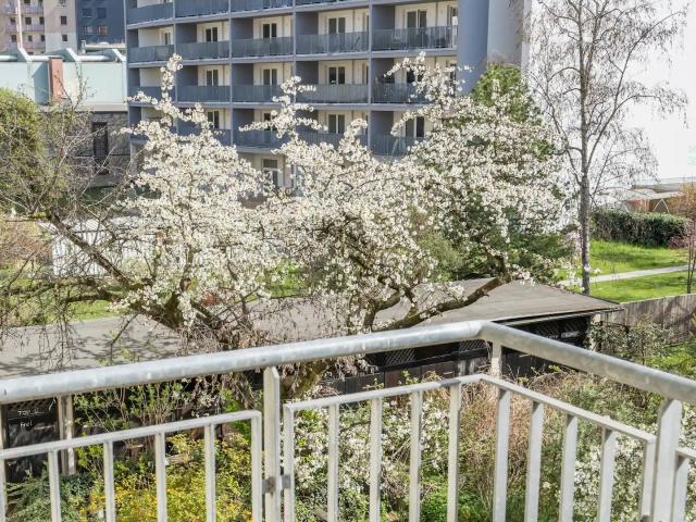 Apartment mieten in Lend, Gersdorf-Feistritz