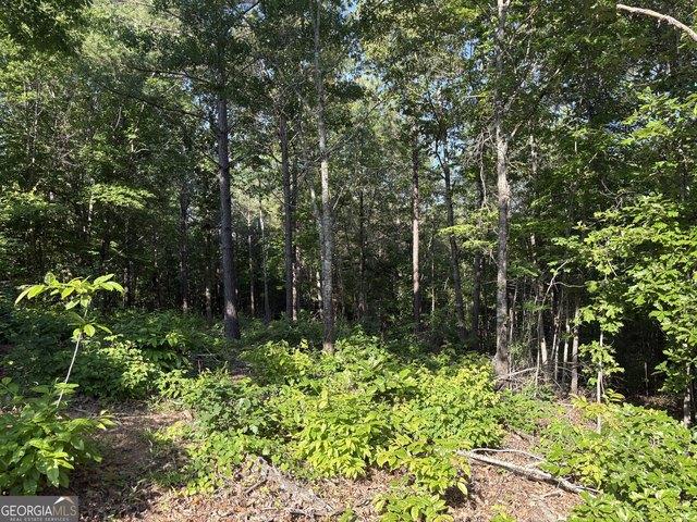Land for sale in Monticello, Georgia