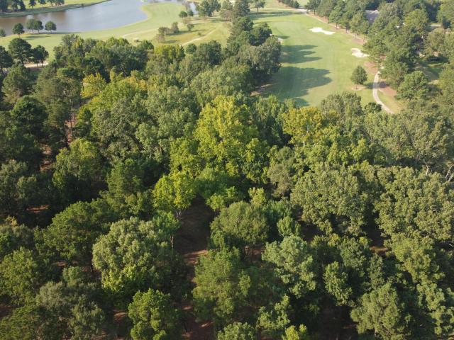 Land for sale in Madison, Mississippi