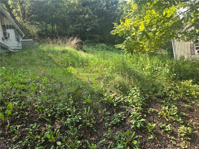 Land for sale in Bellaire, Belmont County