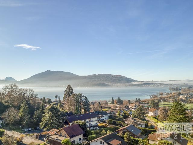 Château vente à Annecy