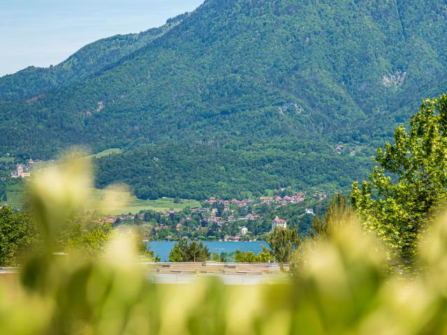 Maison vente à Annecy, Sévrier