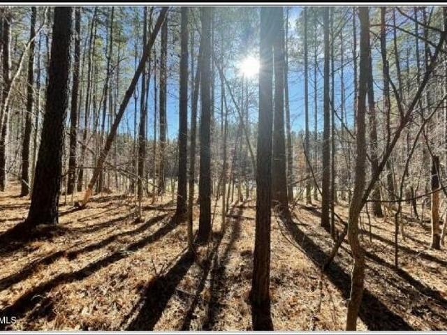 Land for sale in Siler City