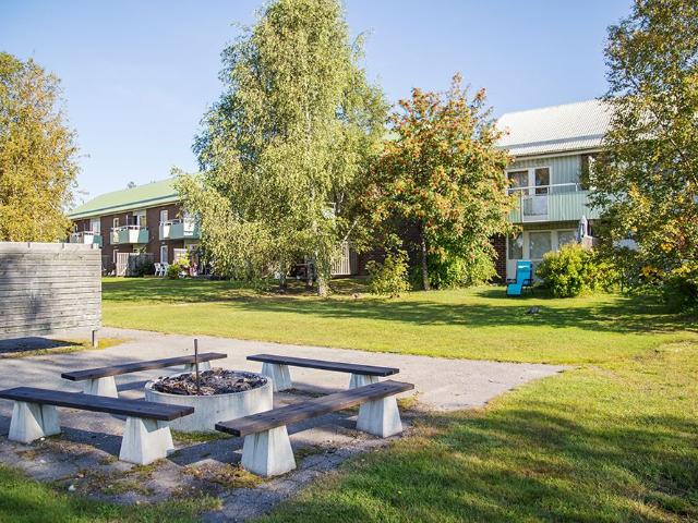 Lägenhet hyra i Piteå, Norrbotten