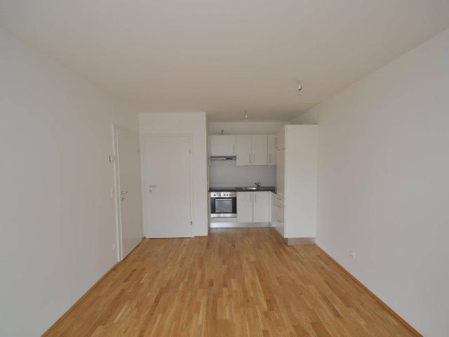 Apartment mieten in Innere Stadt, Gersdorf-Feistritz