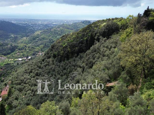 Terreno in vendita a Greppolungo, Camaiore