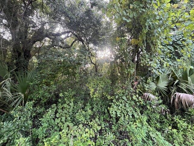 Land for sale in Interlachen Land for sale in Interlachen