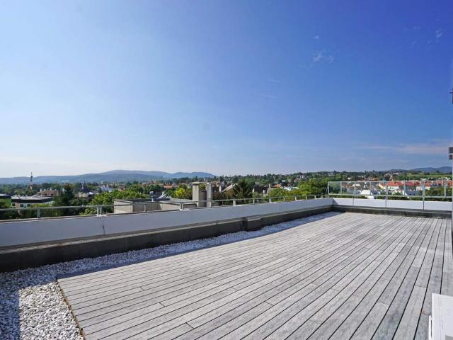Wohnung kaufen in Mödling, Niederösterreich