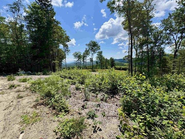 Land for sale in Groton, Vermont