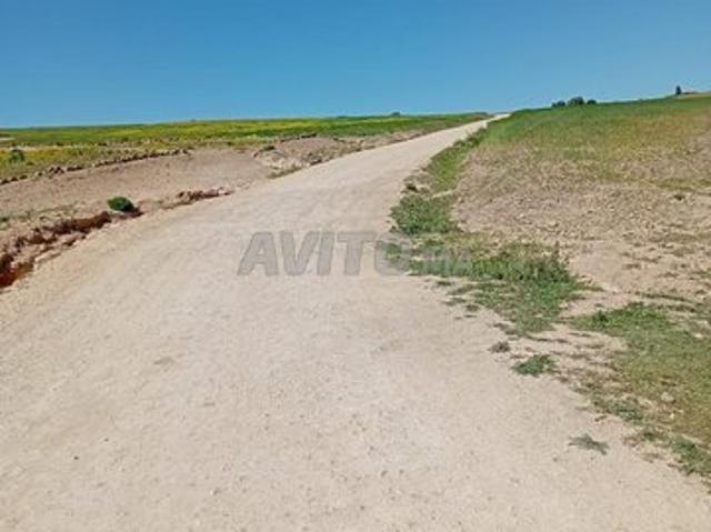 Propriété vente à Ben Ahmed, Gharb-Chrarda-Beni Hssen