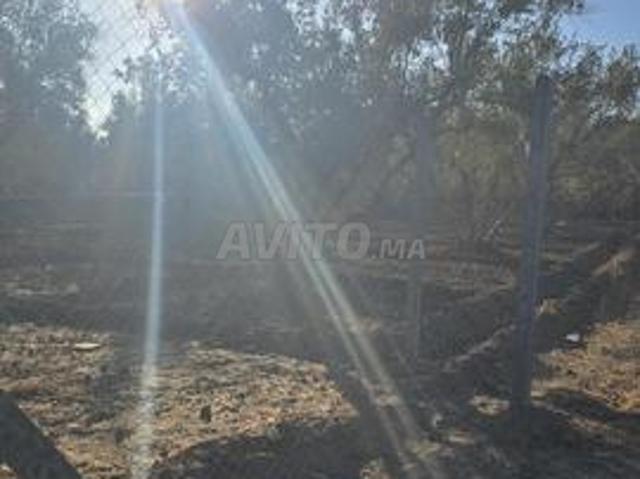 Propriété vente à Ouarzazate