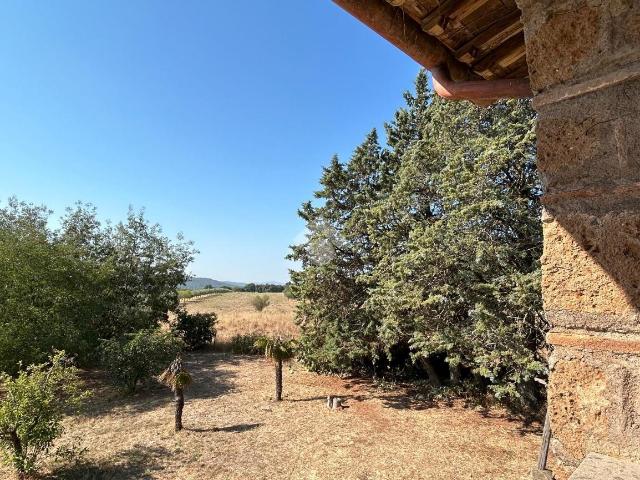 Villa Indipendente in affitto a Barbarano Romano, Lazio