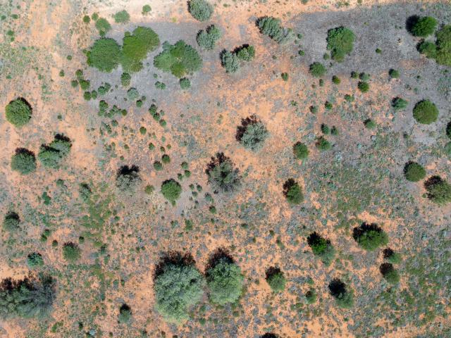 Property for sale in Berri, South Australia