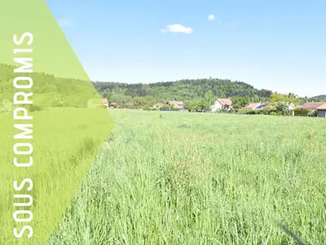 Terrain vente à Saint-Dié-des-Vosges, Anould