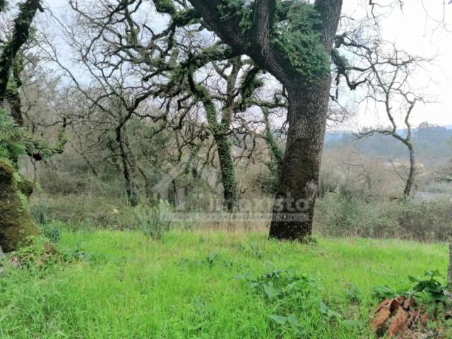 Terreno venda em Ansião, Leiria