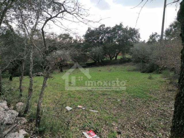 Terreno venda em Ansião, Leiria