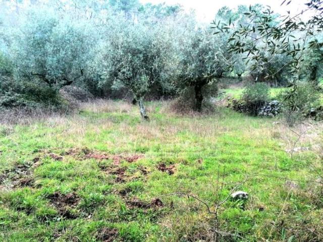 Terreno venda em Ansião, Leiria