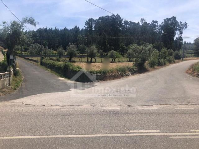 Terreno venda em Ansião, Leiria